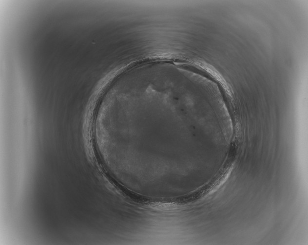 X0000101390577200807211015