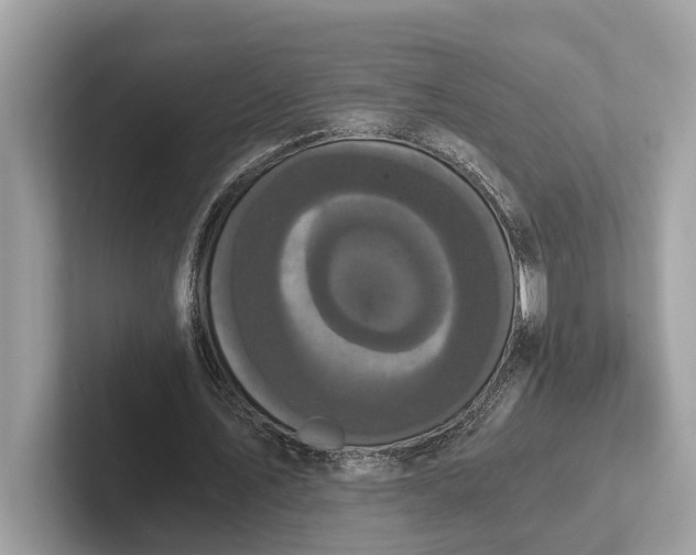 X0000101390579200807211015