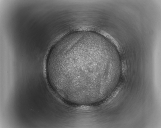 X0000101390581200807211015