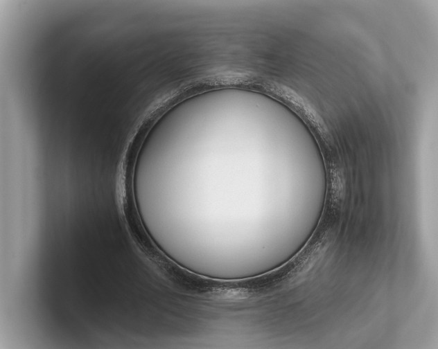 X0000101390582200807211015