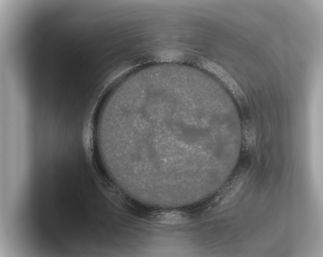 X0000101390583200807211015