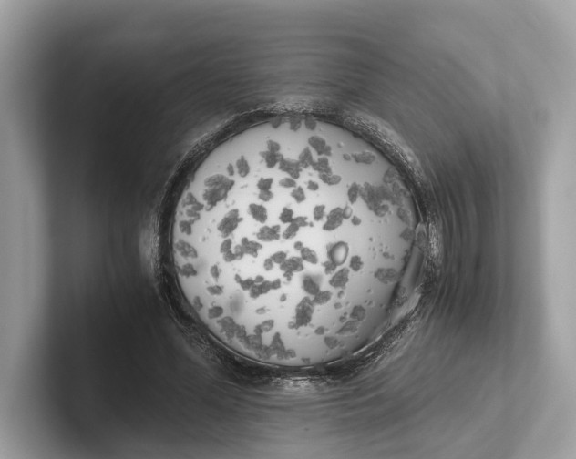 X0000101390588200807211015