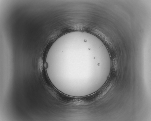 X0000101390589200807211015