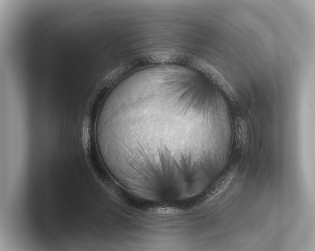 X0000101390590200807211015