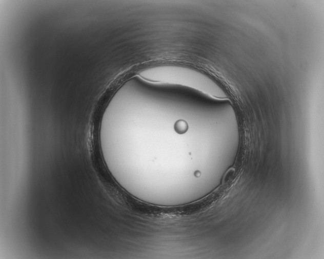 X0000101390592200807211015