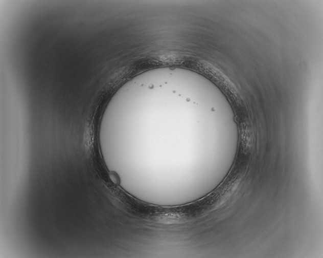 X0000101390593200807211014