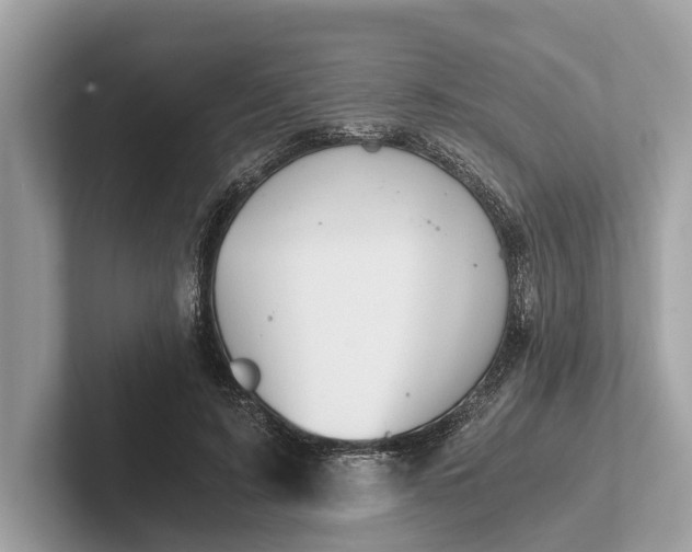 X0000101390595200807211014