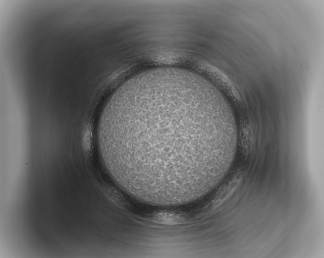 X0000101390596200807211014