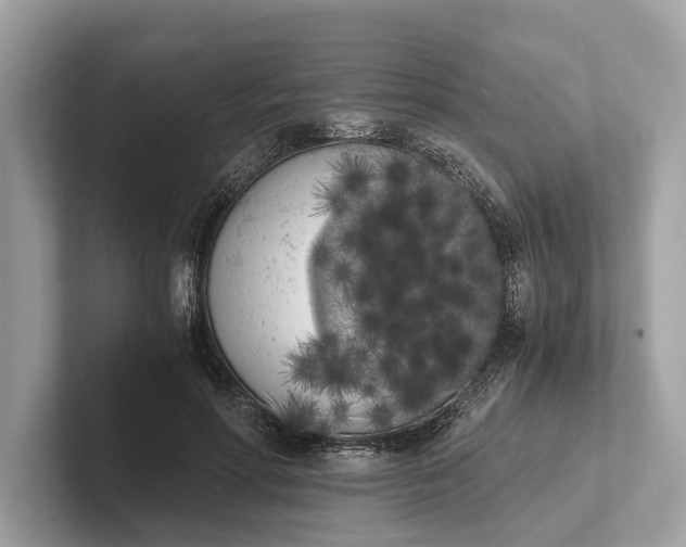 X0000101390598200807211014