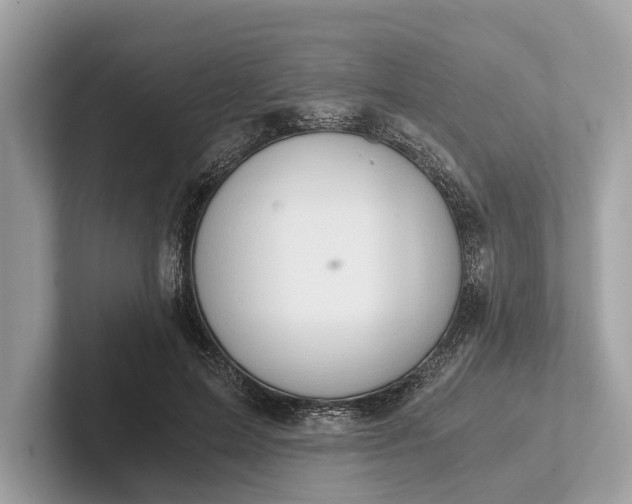 X0000101390599200807211014