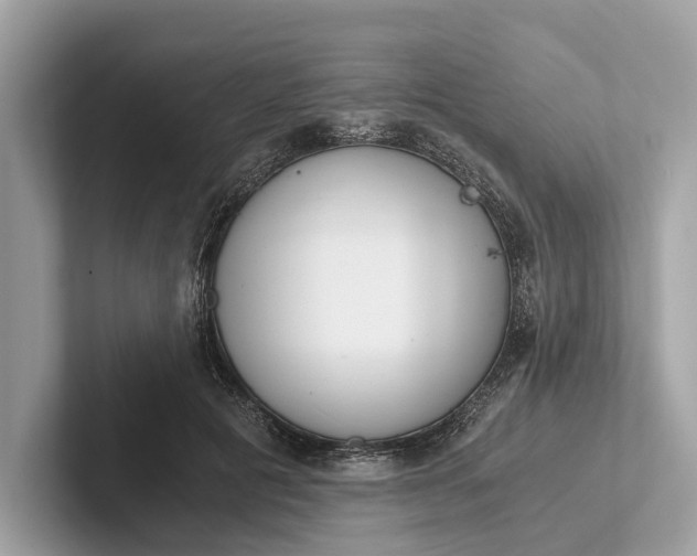 X0000101390601200807211014