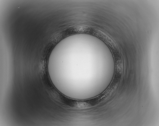 X0000101390605200807211014