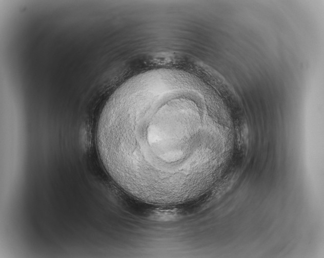 X0000101390606200807211014