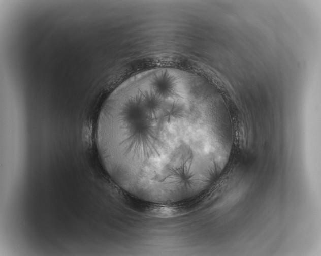 X0000101390610200807211014