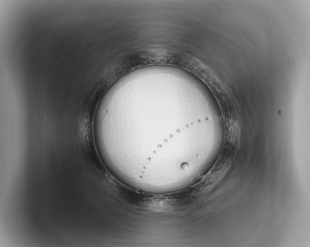 X0000101390612200807211014