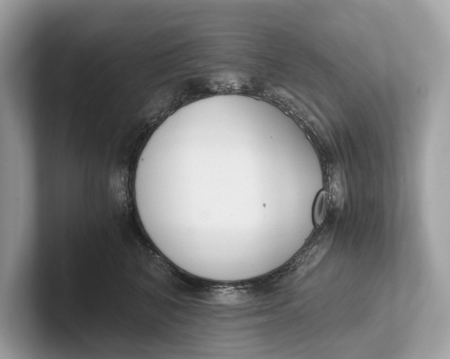 X0000101390616200807211014