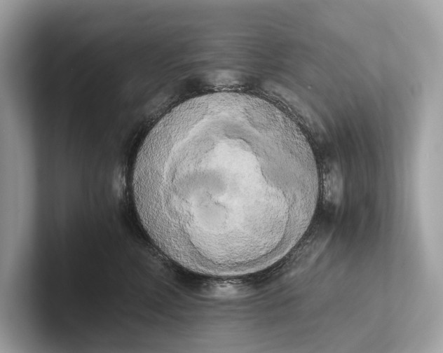 X0000101390618200807211014