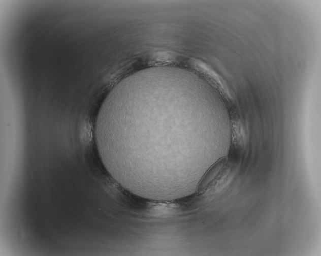 X0000101390621200807211014