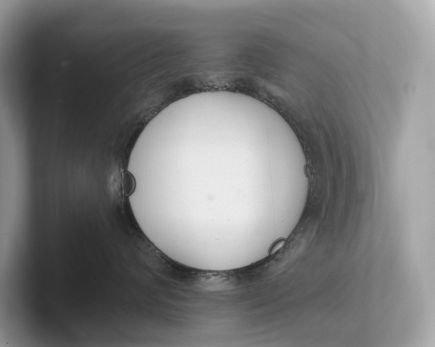 X0000101390624200807211014