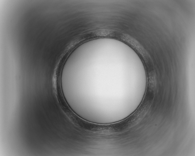 X0000101390626200807211013