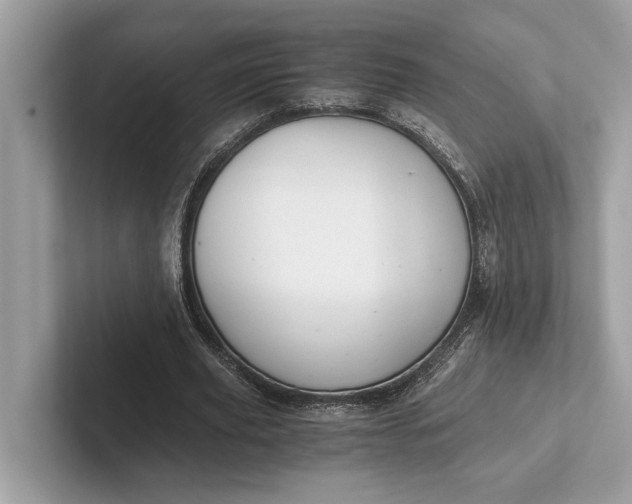 X0000101390629200807211014