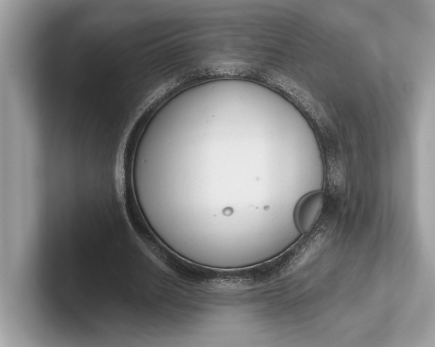 X0000101390630200807211014