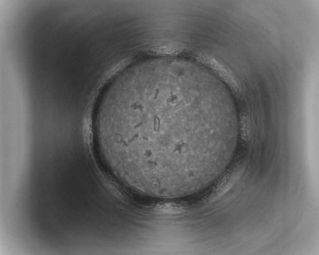 X0000101390634200807211014