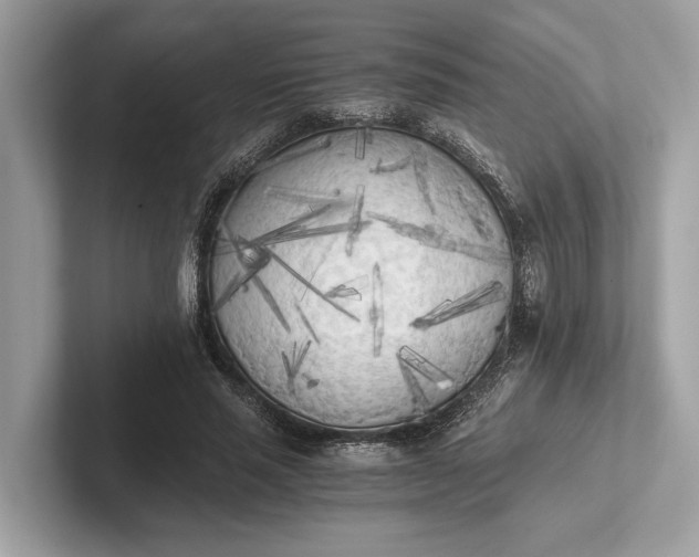 X0000101390637200807211014