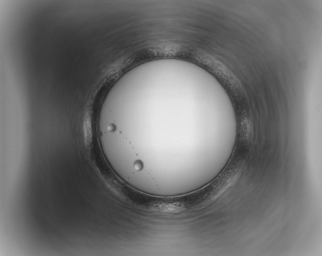 X0000101390638200807211014