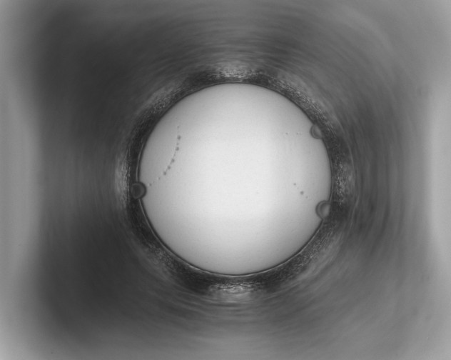 X0000101390639200807211014