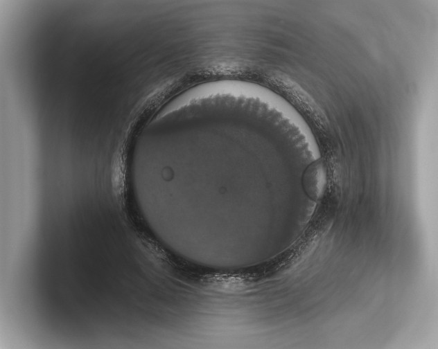 X0000101390640200807211014