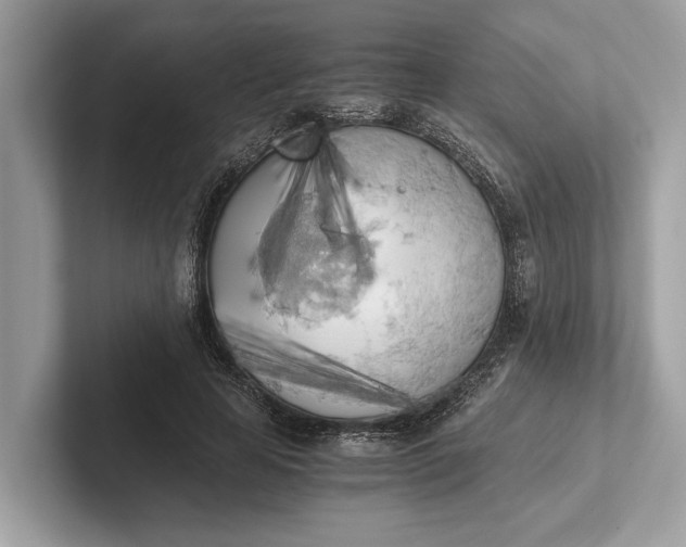 X0000101390641200807211014