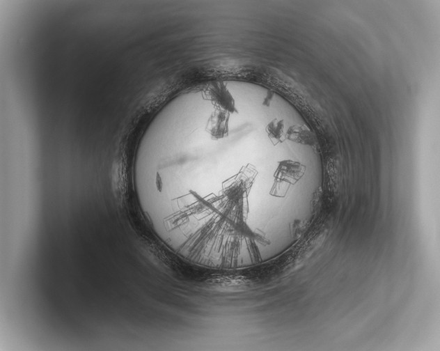 X0000101390642200807211014