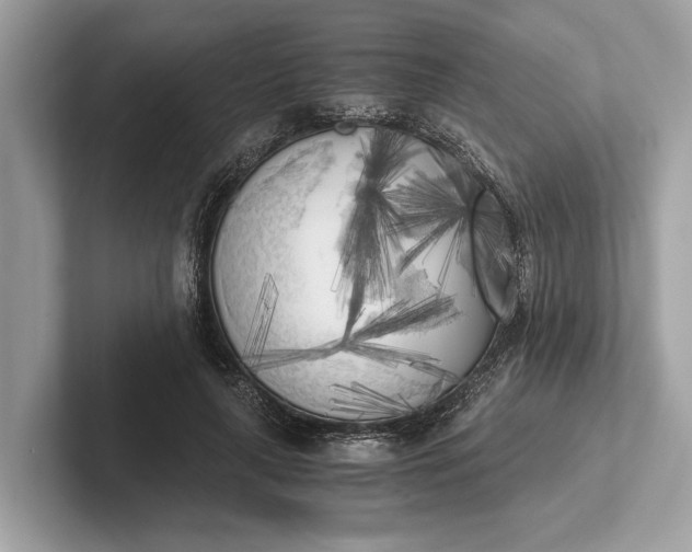 X0000101390643200807211014