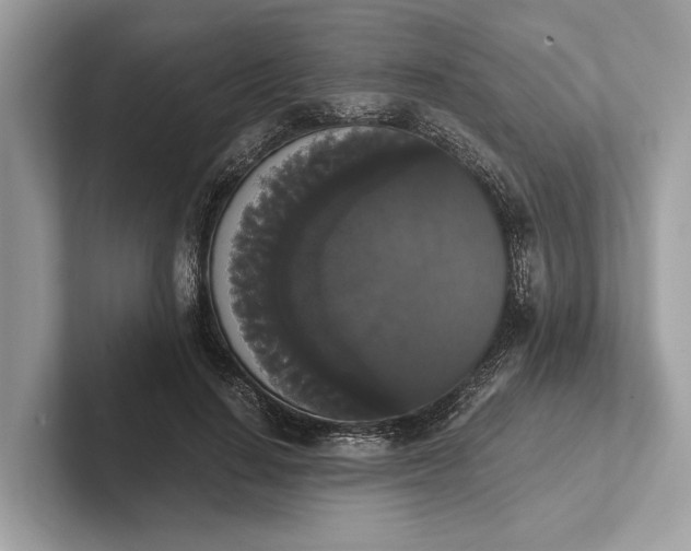 X0000101390644200807211014