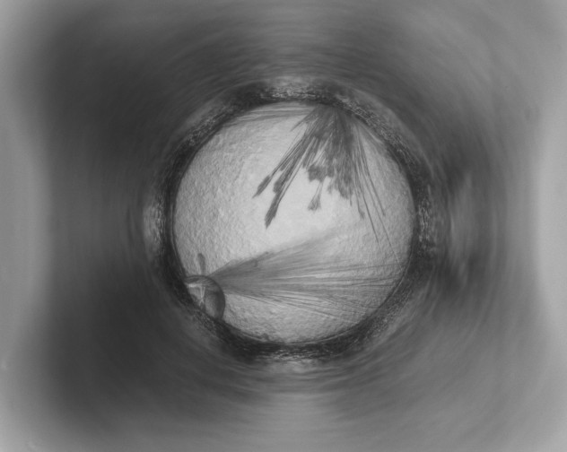 X0000101390648200807211014