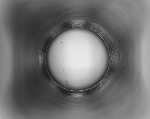 X0000101390649200807211014