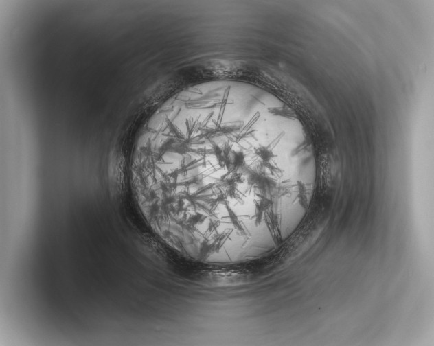 X0000101390650200807211014