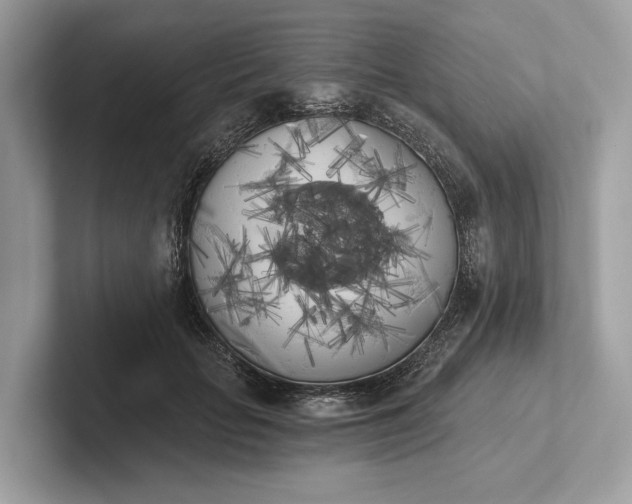 X0000101390653200807211014