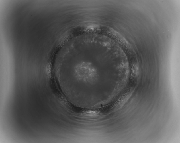 X0000101390659200807211014