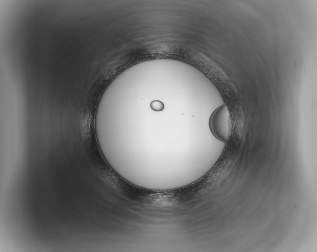 X0000101390660200807211014