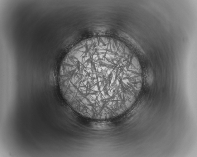 X0000101390661200807211014