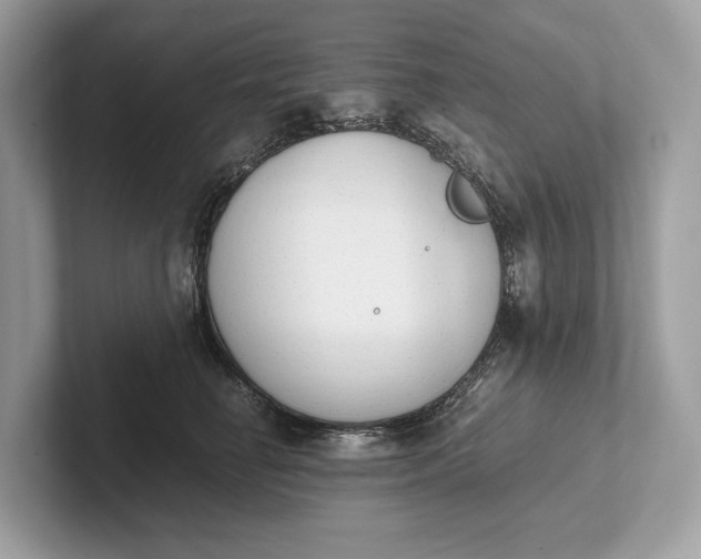 X0000101390662200807211014