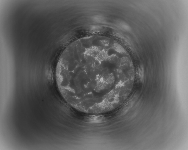 X0000101390663200807211014