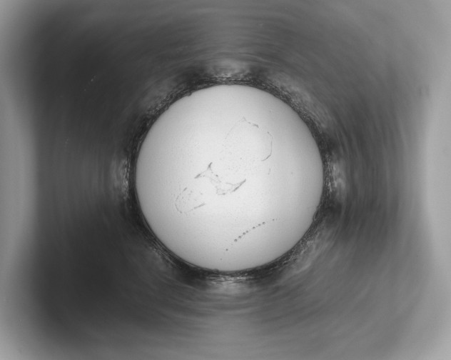 X0000101390664200807211014