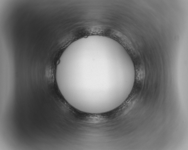 X0000101390666200807211014