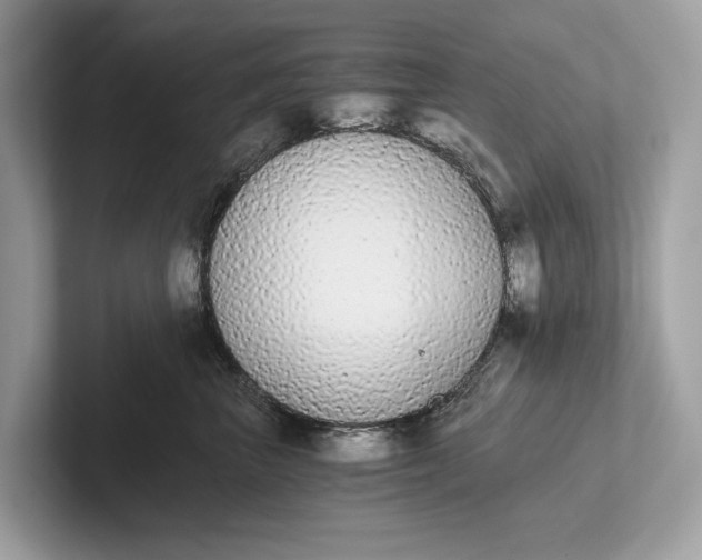 X0000101390667200807211014