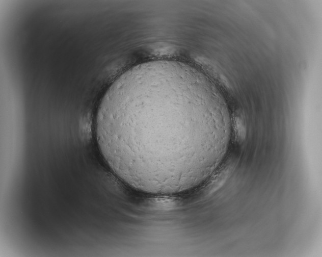 X0000101390668200807211014