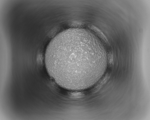 X0000101390669200807211014