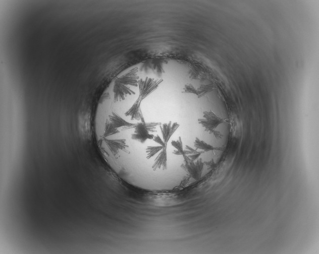 X0000101390670200807211014